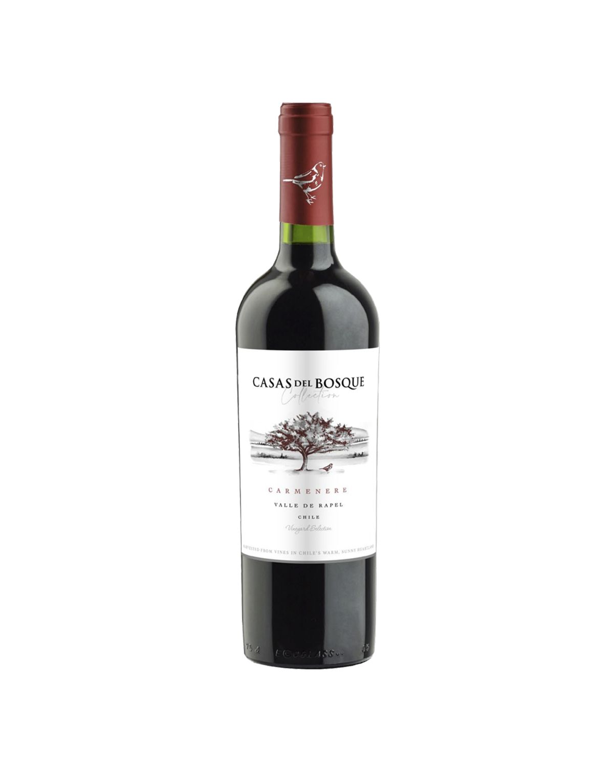 Collection Carmenere