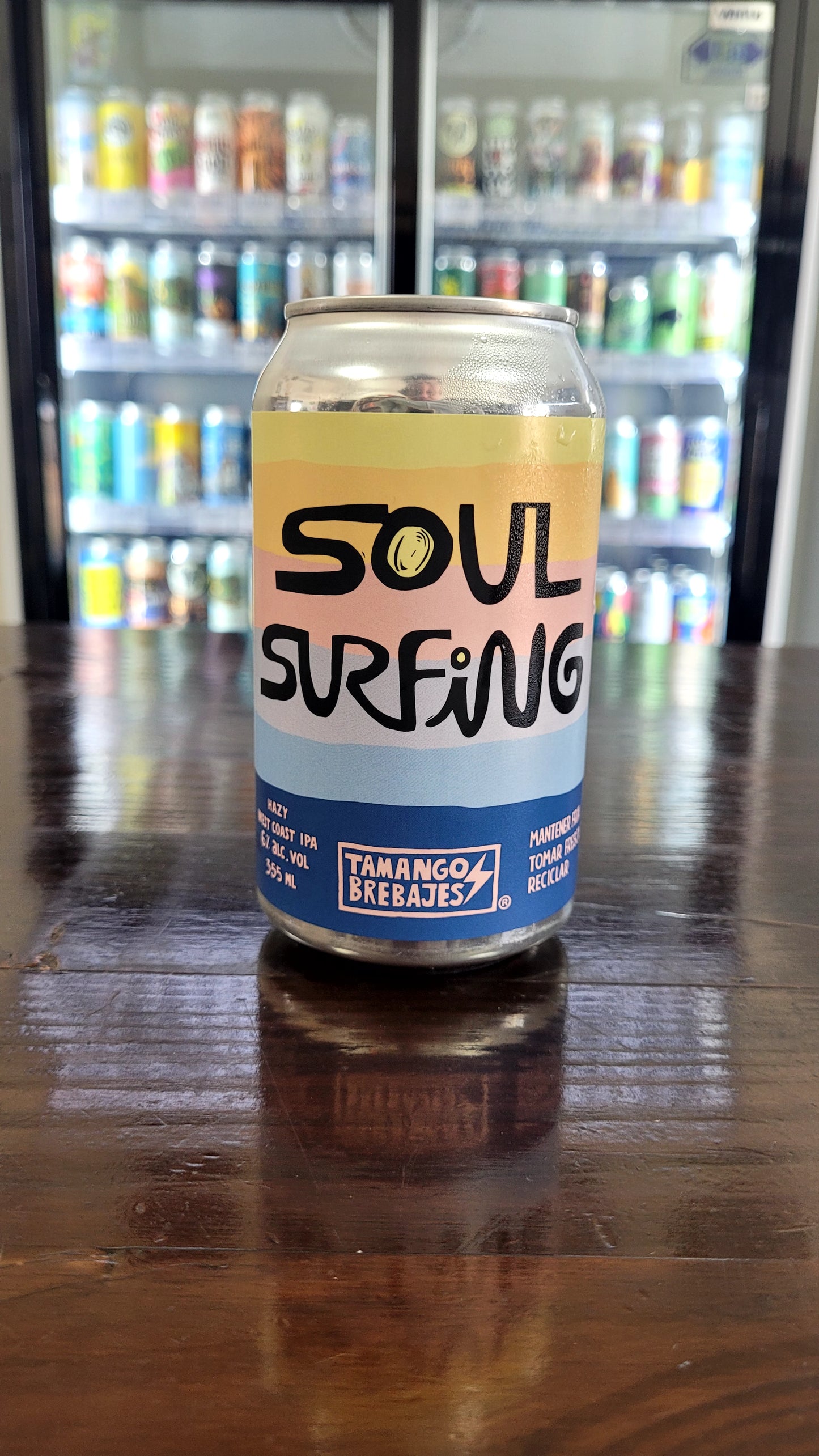 Soul Surfing