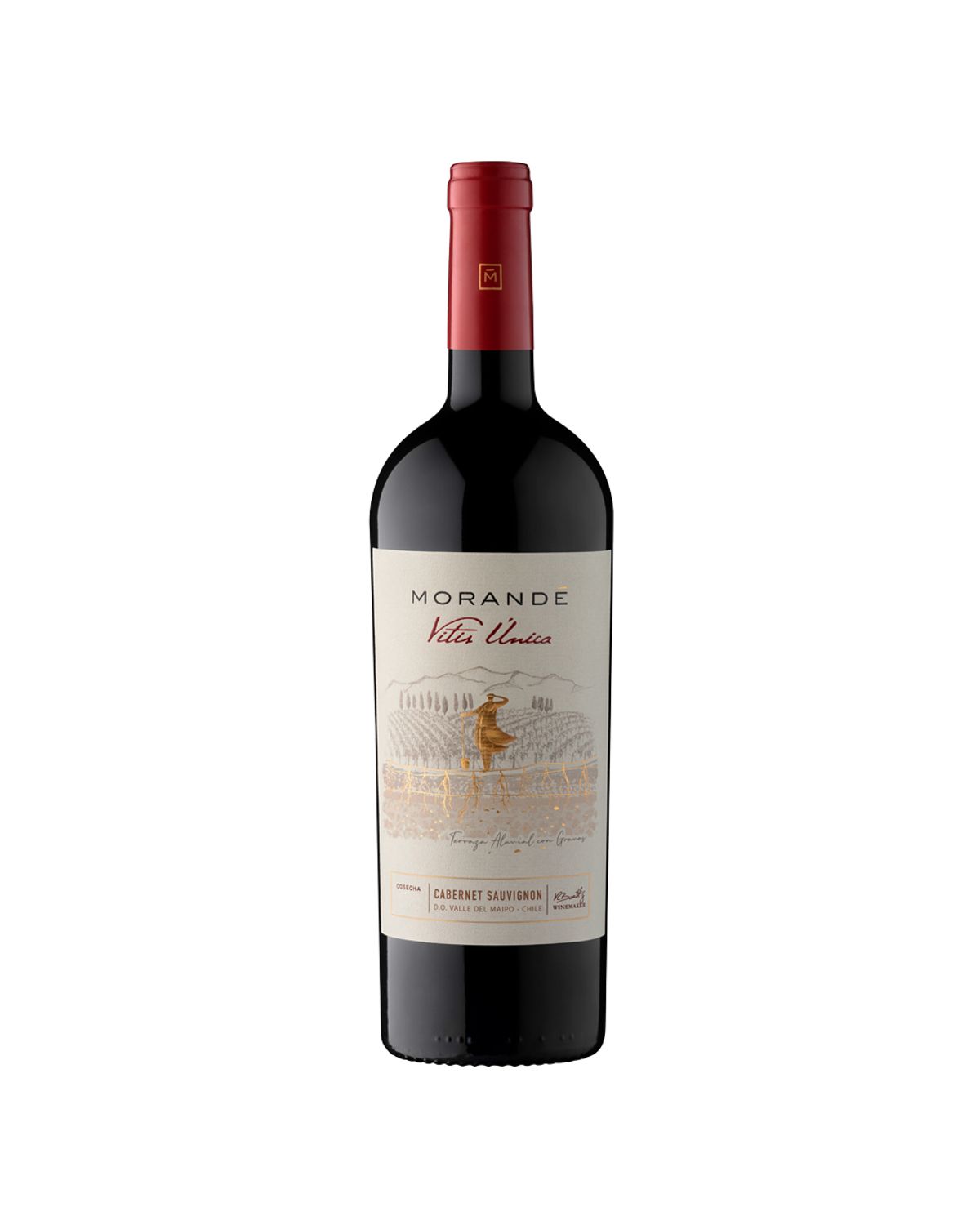 Vitis Única Cab/Sauv
